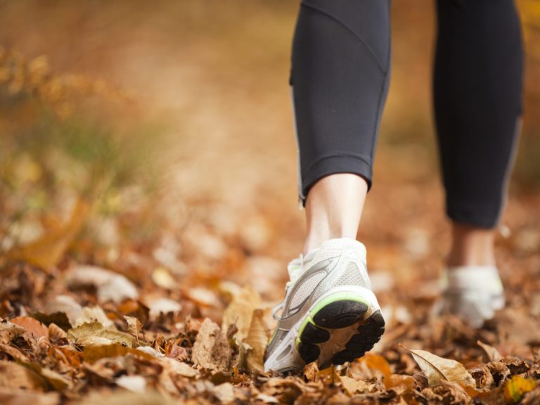 Bild von <a href="https://pixabay.com/de/users/niklas_ahrnke-10296613/?utm_source=link-attribution&utm_medium=referral&utm_campaign=image&utm_content=3721931">Niklas Ahrnke</a> auf <a href="https://pixabay.com/de//?utm_source=link-attribution&utm_medium=referral&utm_campaign=image&utm_content=3721931">Pixabay</a>